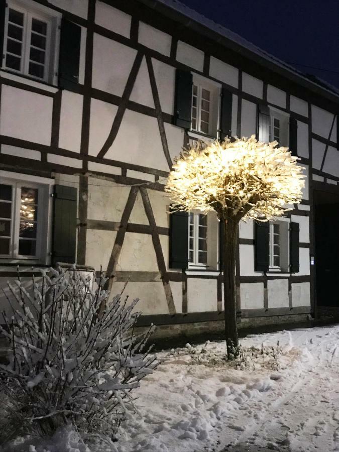 Sonnige Fachwerkwohnung Alfter Bagian luar foto